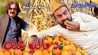 Da Malto Ghala New Funny Video Zama Vines