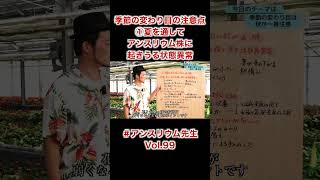 季節の変わり目の注意点①夏を通してアンスリウム株に起きうる状態異常　＃アンスリウム先生　Vol.99 #shorts #切り抜き #季節の変わり目 ＃秋のアンスリウム #アンスリウム #観葉植物