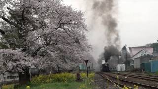 真岡鉄道SL　桜咲く頃（その２）R1 HD 2010-4-11.wmv