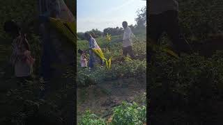 # మా మరిది మా చెల్లి ప్రకృతి ఒడిలో కాసేపు#nature video#funny video#