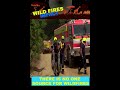 Wildfire Reality: The Environmental and Social Impact of Wildfires | #shorts 02