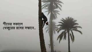 খাঁটি খেজুরের রস সাথে শীতের একটি কুয়াশাচ্ছন্ন সকাল | date juice Drone Shot | Shahriar Shanto