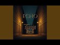 Echoes in the silence