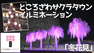 【イベント】 ところざわサクラタウン 「イルミネーション 冬花見」紹介！