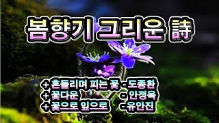 봄향기 그리운 詩 아름다운 꽃 봄시 낭독, 흔들리며 피는 꽃 - 도종환, 꽃다운 - 안정옥, 꽃으로 잎으로 - 유안진