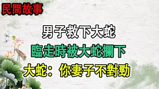 ✅ 民間故事： 🐍 男子救下大蛇，臨走時被大蛇攔下，大蛇：你妻子不對勁 #民間故事 #正能量故事 #傳奇故事 #民間傳說 #stroytelling  #秋姐講故事