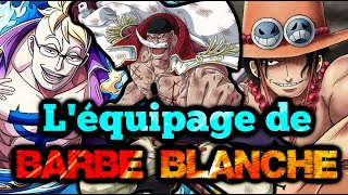 L'ÉQUIPAGE de BARBE BLANCHE et ses 16 COMMANDANTS EXPLIQUÉS - ONE PIECE