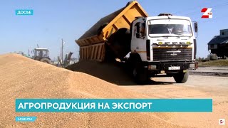 Казахстан бьёт рекорды по экспорту сельхозпродукции | Акценты | Акценты