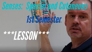 Senses: Special and Cutaneous : Lesson, 1st Semester: Eyes, Ears, Eyeball Dissection and Histology