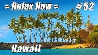 BEST HAWAII BEACHES Kona Coast State Park #52 Beach Ocean Waves HD Beautiful Kekaha Kai Mahaiula