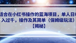 适合在小红书操作的蓝海项目，单人日收入过千，操作及其简单（保姆级玩法）【揭秘】