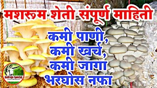 √कशी करावी #मशरूम शेती,कमी जागा,कमी पाणी,कमी खर्च,भरघोस नफा #Mushroom Farming