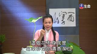 佛心花海_香遠溢清_李麗淑老師-2_(lifetv_20201013_11:00)