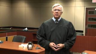 Navigating Family Court Ch. 7 - Issues and the Law