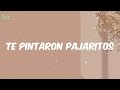 Yandar & Yostin - Te Pintaron Pajaritos (Letra)