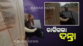 An Elephant Tried To Attack Forest Officers Vehicle At Mysore