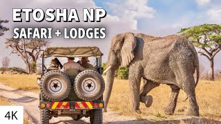 My First AFRICAN SAFARI 4K / Etosha National Park