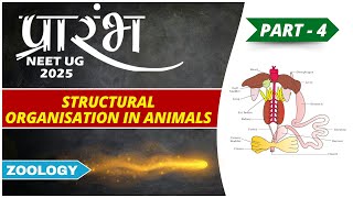 Structural Organisation in Animals | Part - 4 | KRK Sir | NEET UG 2025 | #neet #biology #education