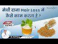 मेथी दाना कैसे Hair Loss मे काम करता है ? Methi/Fenugreek Benefits For Hair Fall