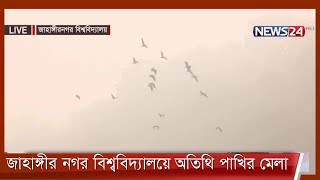 শীতের সকালে জাহাঙ্গীর নগর বিশ্ববিদ্যালয়ে বসেছে অতিথি পাখির মেলা 23Dec.21