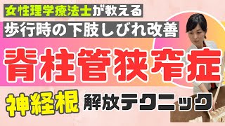 【脊柱管狭窄症】歩行時に辛いお尻や下肢のしびれを改善させたい治療家に見てほしい！腰椎神経根解放テクニック