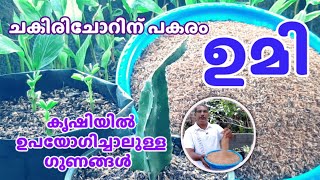 Benefits of using Rice Husk in Growbag Cultivation | കൃഷിയിൽ ഉമി കൊണ്ട് എന്തെല്ലാം ഗുണങ്ങൾ ഉണ്ട് ?