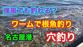 名古屋港 穴釣り 強風でも釣れる？ ワームで根魚釣り