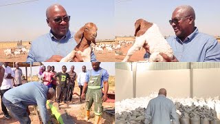 President Mahama Gets His Hands Dirty On The Farm!