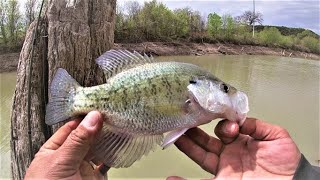 This River Changes Quick! BANK FISHING Anything That Bites!*(Lampasas River Hike)*