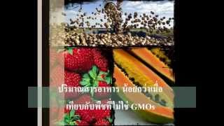 การใช้สารเคมีหรือ GMOs แบบไหนดีกว่ากัน SUT(presented)