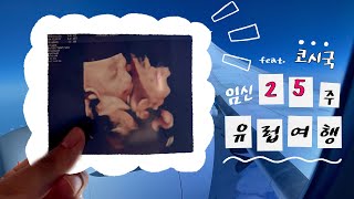 임신 7개월차, 코시국에 유럽여행 가다. - 13시간 비행의 모든것 (feat. LOT항공)