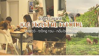 #10 PEACEFUL EVENING/LÀM CỎ - TRỒNG RAU - NẤU BỮA TỐI