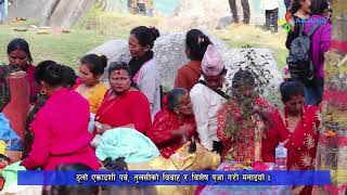 ठूलो एकादशी पर्व, तुलसीको विवाह र विशेष पूजा गरी मनाईयो । Lamjung Update 2076 07 22