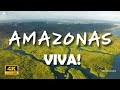 AMAZONAS Viva! 4K | Stunning Landscapes, Rivers, Birds, and Wildlife