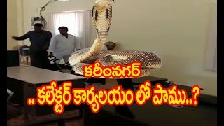 Snake Found in Collector Office at Karimnagar || tv2telangana