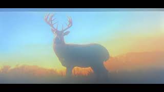 Why- Hateboy Ultra Slowed