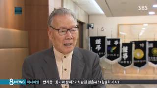 '분단문학의 큰 별' 지다…소설가 이호철 타계 /SBS