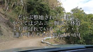 フォレスター林道を往く【房総半島 林道金谷元名線】林道開通記念碑まで 2020年11月上旬【SJ5 Subaru Forester：Forest road 】千葉県富津市