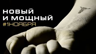 Новый и Мощный с 1 ноября-Bizon Tech