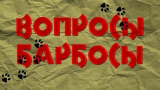 анонс канала ВОПРОСЫ-БАРБОСЫ