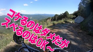 セローで行くソロ林道　観音山線その②