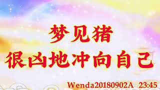 卢台长开示：梦见猪很凶地冲向自己Wenda20180902A   23:45