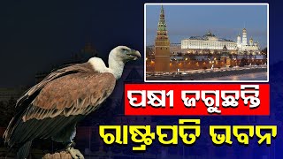 ପକ୍ଷୀ ଜଗୁଛନ୍ତି ରାଷ୍ଟ୍ରପତି ଭବନ | VladimirPutin || Odisha Reporter