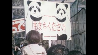 1971 (Showa 46) Japan １９７１年（昭和４６年）日本 初めてジャイアントパンダが日本にやってきた Pandas come to Japan for the first time