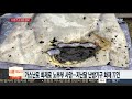 금실 좋은 노부부 목숨 앗아간 난방기구…겨울철 안전 위협 연합뉴스tv yonhapnewstv