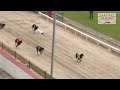 Sunday 7th July 2024 | Race 11 | WHODOYOUCOLLAR