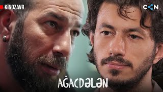 Kinozavr 136 | Ağacdələn