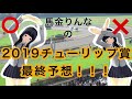 【競馬女子】2019年Ｇ２チューリップ賞の最終予想！買う馬券も話しています！