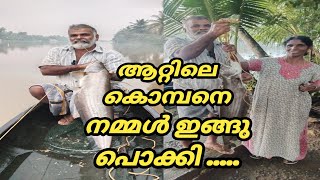 ആറ്റിലെ കൊമ്പനെ നമ്മൾ ഇങ്ങു പൊക്കി .....@ldandrdmedia604