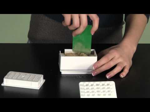 Capsule Machine for Making Herbal Capsules Capsule Machine for Making Herbal Capsules